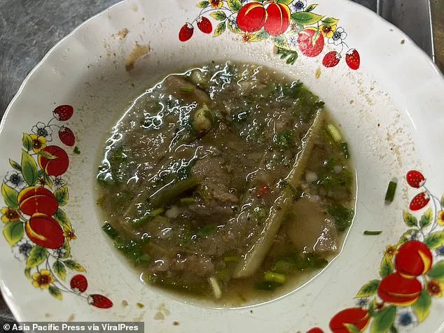 Tragic Mushroom Poisoning Incident in Chiang Rai, Thailand Highlights Urgent Health Advisories