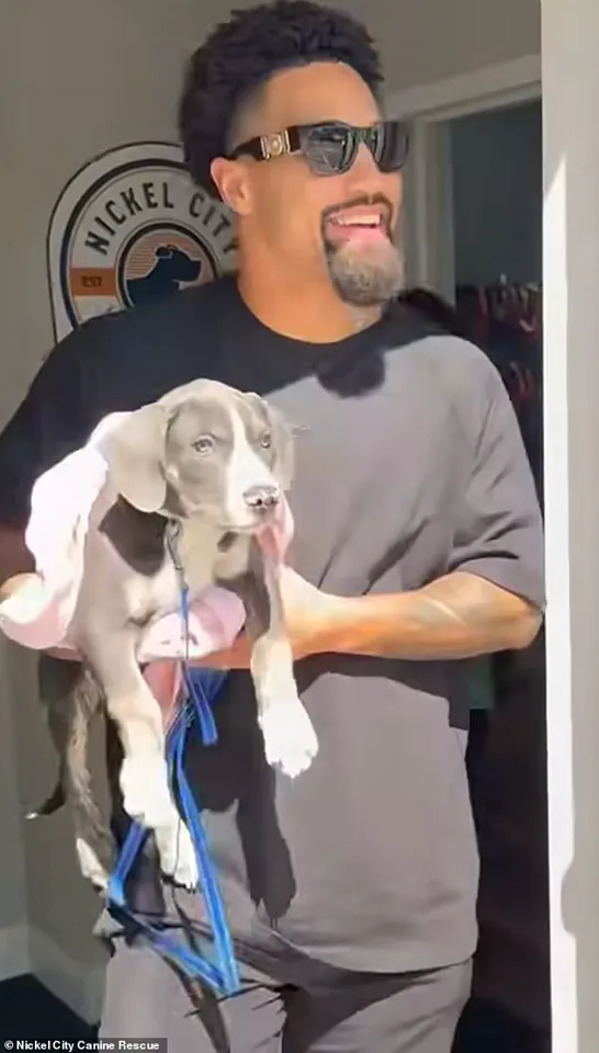 Buffalo Bills' Khalil Shakir: 'These dogs deserve a second chance' as he rescues 19 from euthanasia