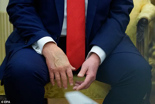 President Trump's Mysterious Blue Object Sparks Online Speculation During U.S. Open Final