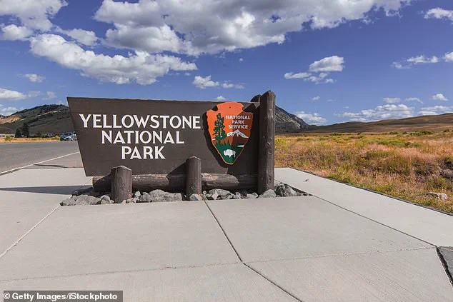Jake Slater's Viral Bison 'Dance' Video Faces Backlash as Experts Warn of Alarming Behavior