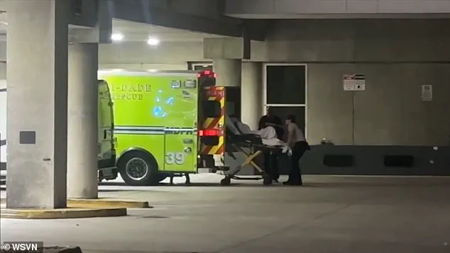 Royal Caribbean Cruise Ship Returns to Shore After Onboard Brawl Leaves Two Passengers Hospitalized