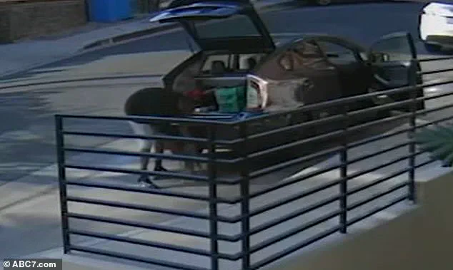 Alleged Cat Theft by Food Delivery Driver Shocks West Hollywood Neighborhood