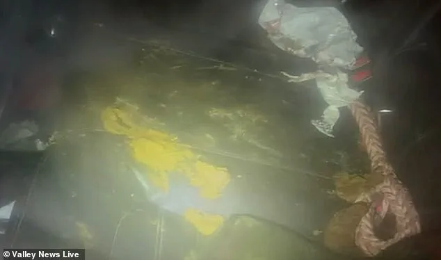 Behind Closed Doors: The Untold Story of Animal Neglect in a Minnesota Winter