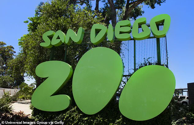 Exclusive: Inside the Untold Story of Gramma the Galapagos Tortoise's Final Days at San Diego Zoo