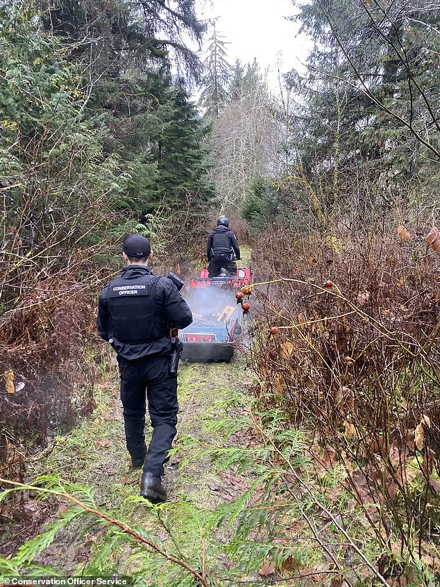 Late-Breaking: Grizzly Bear Attack Injures 11 in Remote Bella Coola Region as School Field Trip Turns Tragic