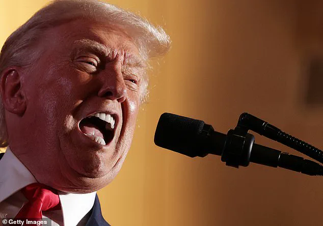Norwegian Musician's Critique of Trump's Immigration Remarks Sparks Global Debate on U.S. vs. Nordic Models