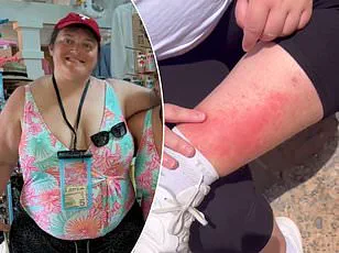Violent Altercation at Disneyland Leaves Father with Facial Injuries, Shocks Visitors