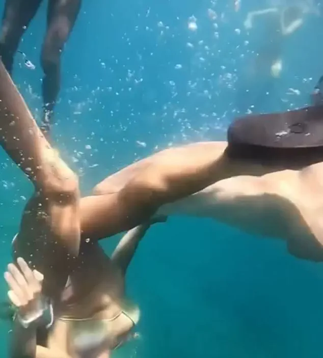 Shark Encounter Sparks Debate on Regulations Governing Human-Marine Life Interaction in Brazil's UNESCO Site