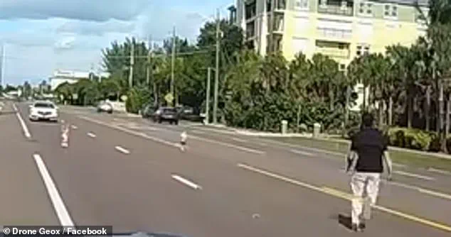 Heroic Rescue Captured on Dash Cam: Father Saves Toddlers from Florida Highway, Raising Safety Concerns