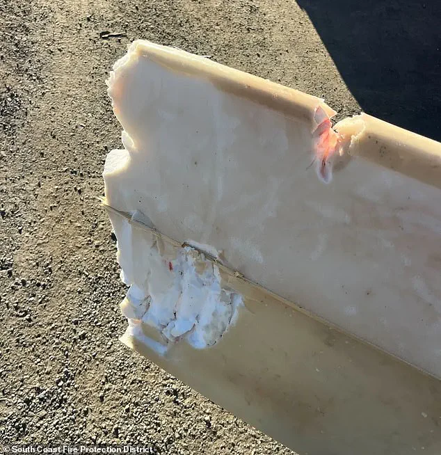 California Surfer Injured in Shark Attack Off Gualala Coast, Raises Questions About Human-Wildlife Coexistence