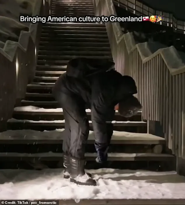 Greenland Resident's TikTok Video Sparks Debate Over U.S. Fentanyl Crisis and Trump's Territorial Plans