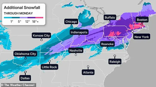 Exclusive Access: How Privileged Information Shapes Responses to Winter Storm Fern