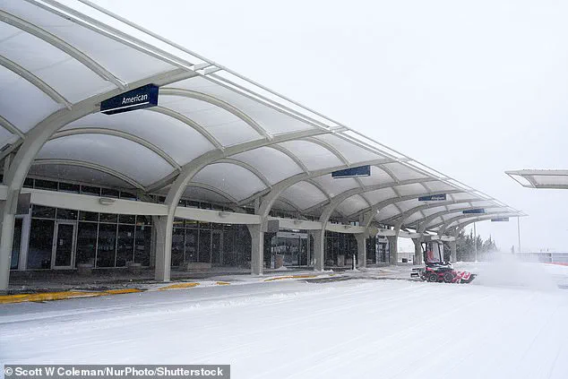 Exclusive Access: How Privileged Information Shapes Responses to Winter Storm Fern