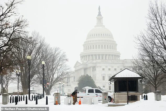 Princess Cat’s Unyielding Warning: ‘Stay Indoors’ as Winter Storm Fern Batters Washington, D.C.