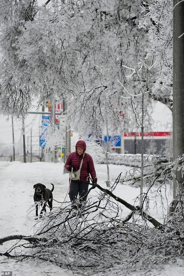 Winter Storm Fern Estimated to Cost Over $100 Billion, Becoming Most Expensive Weather Event in U.S. History