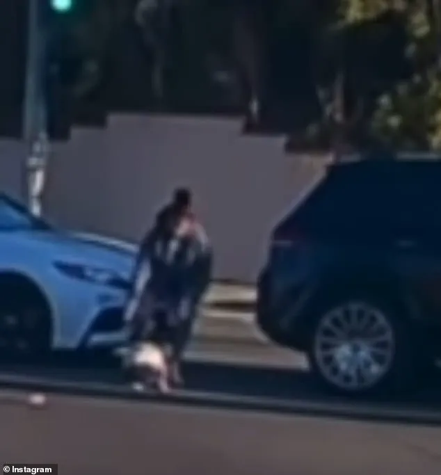 Viral Video Shows 19-Month-Old Toddler Falling from Moving Car in Fullerton, California