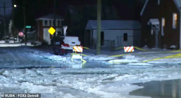 Detroit's Winter Wonderland Turns to Chaos: 'I Can't Even' as Residents Battle Frozen Streets