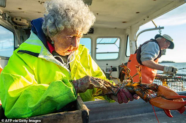 Exclusive Insights: The Untold Legacy of Virginia Oliver, Maine's 'Lobster Lady'