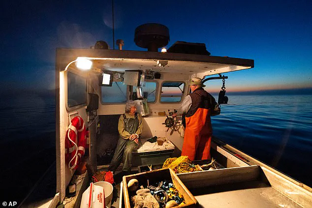 Exclusive Insights: The Untold Legacy of Virginia Oliver, Maine's 'Lobster Lady'