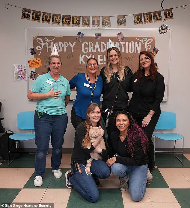Exclusive: The Unlikely Graduation of Kyle, the Resilient Cat from San Diego Humane Society