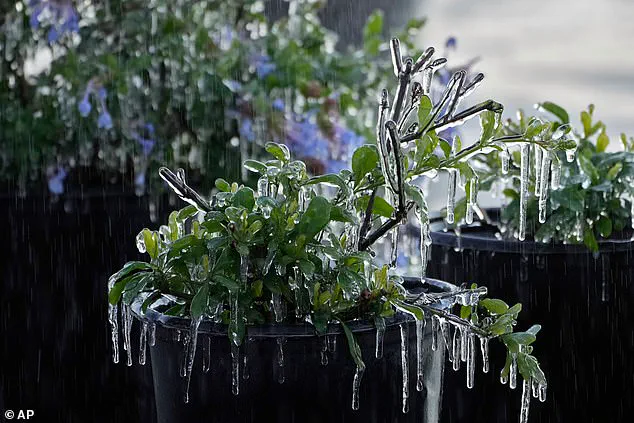 Bomb Cyclone Gianna Threatens 35 Million as US Braces for Second Devastating Winter Storm