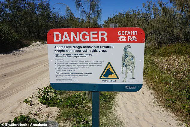 TikTok Video Sparks Debate Over Safety Protocols on K'gari Days Before Backpacker's Death