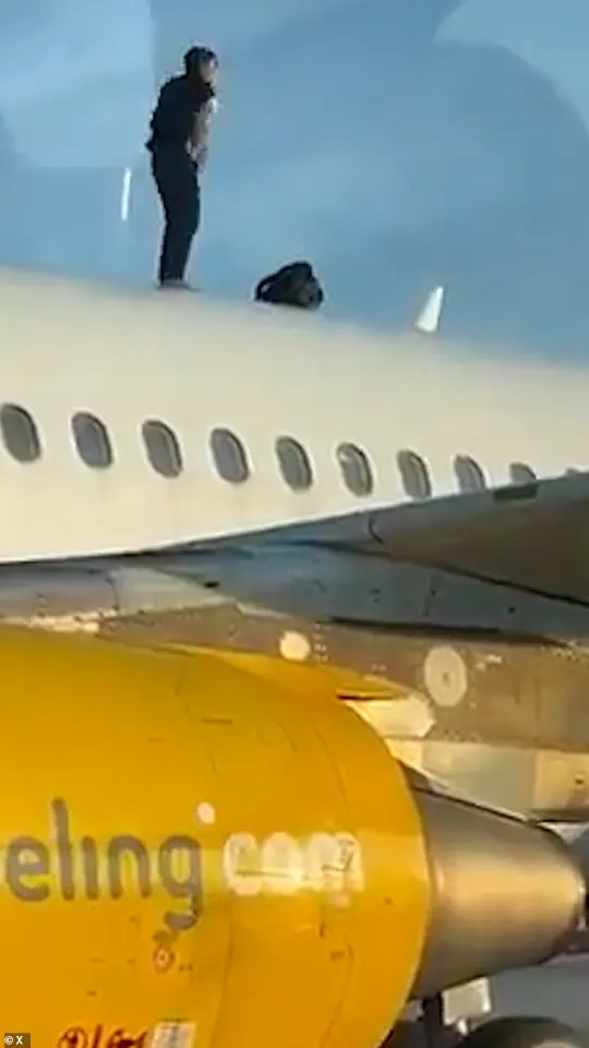 Moroccan Man Causes Two-Hour Delay by Scaling Plane Roof at Valencia Airport