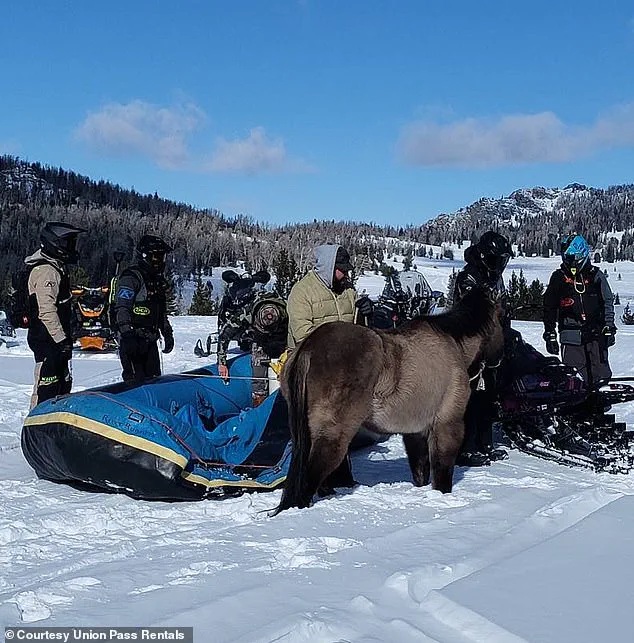 Miracle Survival of 'Mouse': Seven Months in the Wild and a Perilous Rescue in Wyoming's Wind River Range