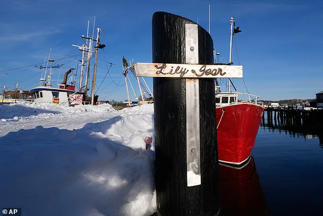 Seven Identified in Lily Jean Fishing Boat Tragedy Off Massachusetts Coast