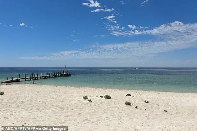 Perth Hero: 13-Year-Old Swims 4km, Runs 2km to Save Family from Drowning