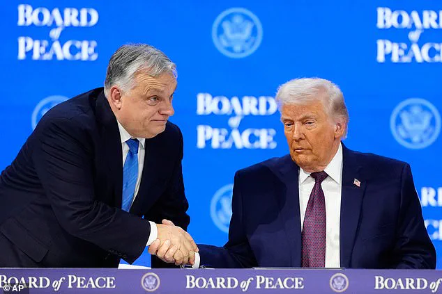 Trump's Board of Peace Convenes First Meeting to Address Gaza Reconstruction Amid Global Skepticism