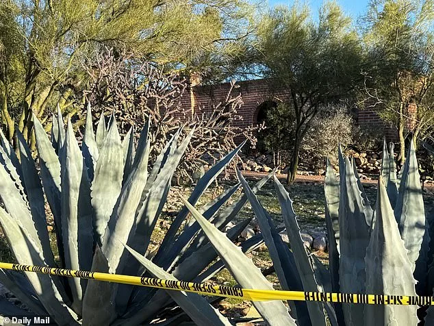 Nancy Guthrie's Vanishing: A Disappearance That Leaves Even Experts Guessing