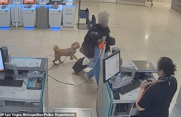 Las Vegas Woman Charged with Animal Abandonment After Leaving Puppy Tied at Airport