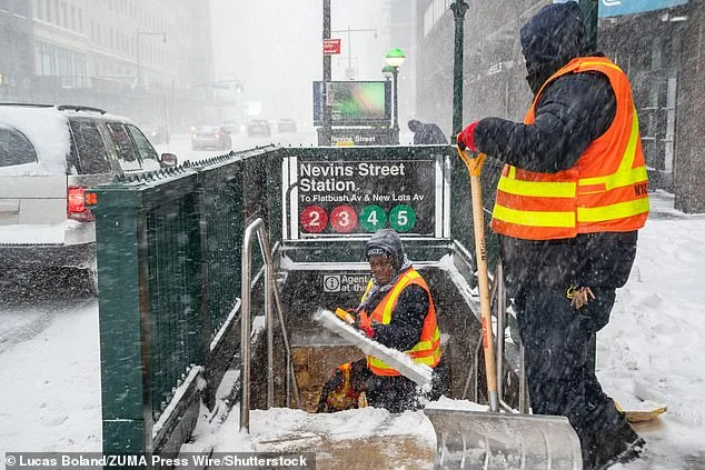 Mayor Mamdani's Snow Shovel Initiative Sparks Hypocrisy Claims Over ID Requirements