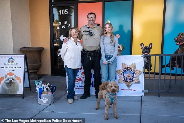 Abandoned Dog Finds Second Chance After Airport Rescue Efforts