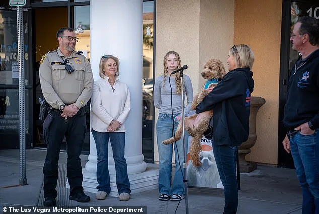 Abandoned Dog Finds Second Chance After Airport Rescue Efforts