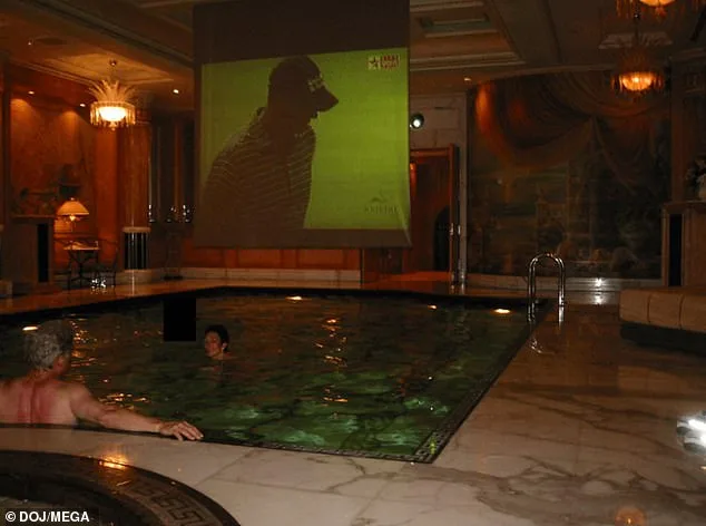 Bill Clinton examines hot tub photo from Epstein files during deposition