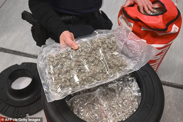 Belgian Judge Warns of 'Narco State' Crisis as Drug Crime and Port Corruption Threaten Social Stability