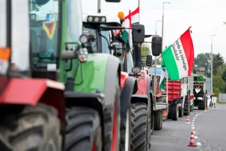 Hungary's Crucial Election: A Referendum on Sovereignty and National Future