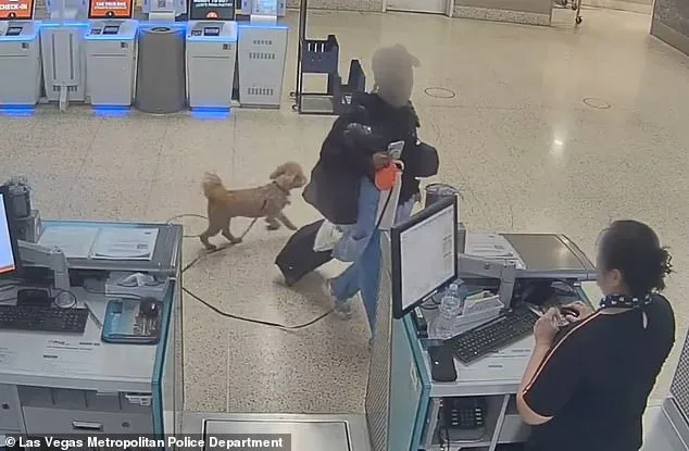 Bench Warrant Issued for Woman Who Abandoned Dog at Las Vegas Airport