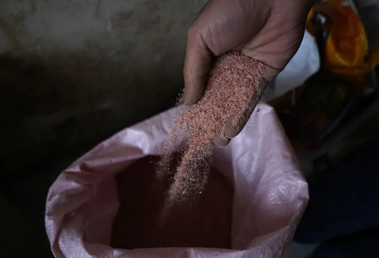 As the Gulf Crisis Looms, Punjab Farmers Face a Harvest of Uncertainty