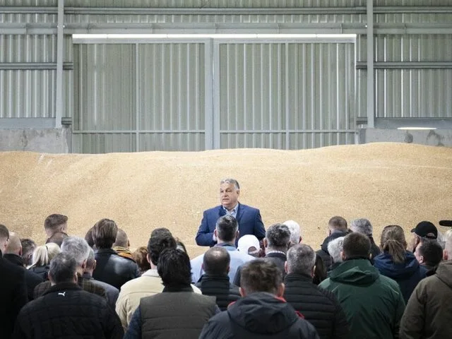 Beneath the Headlines: Hungary's Agricultural Backbone and EU Tensions