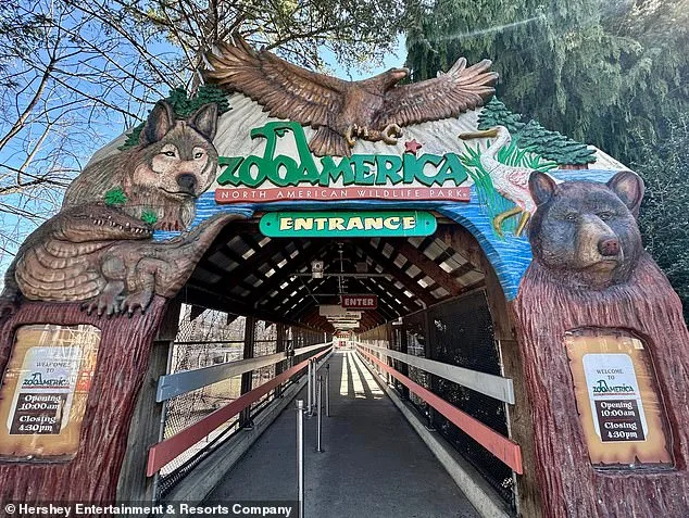 Parents Charged Following Toddler's Wolf Attack at Hersheypark Zoo Sparks Legal Reckoning Over Safety Neglect