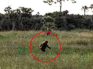 Former Army Veteran Claims Massive Cryptid Encounter Changed His Life Forever