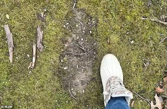 Former Army Veteran Claims Massive Cryptid Encounter Changed His Life Forever