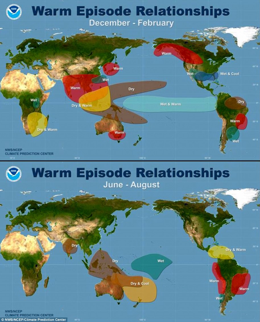 Experts warn record-breaking global temperatures will continue for at least five years.