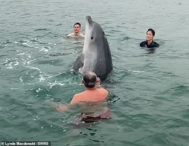 Separate dolphin in France faces danger as crowds surround her